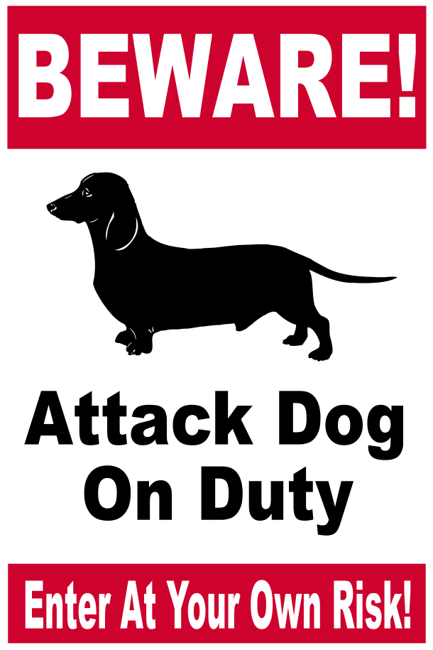 Beware of Dog CGSignLab 12x8 Modern Gradient Heavy-Duty Outdoor Vinyl Banner 