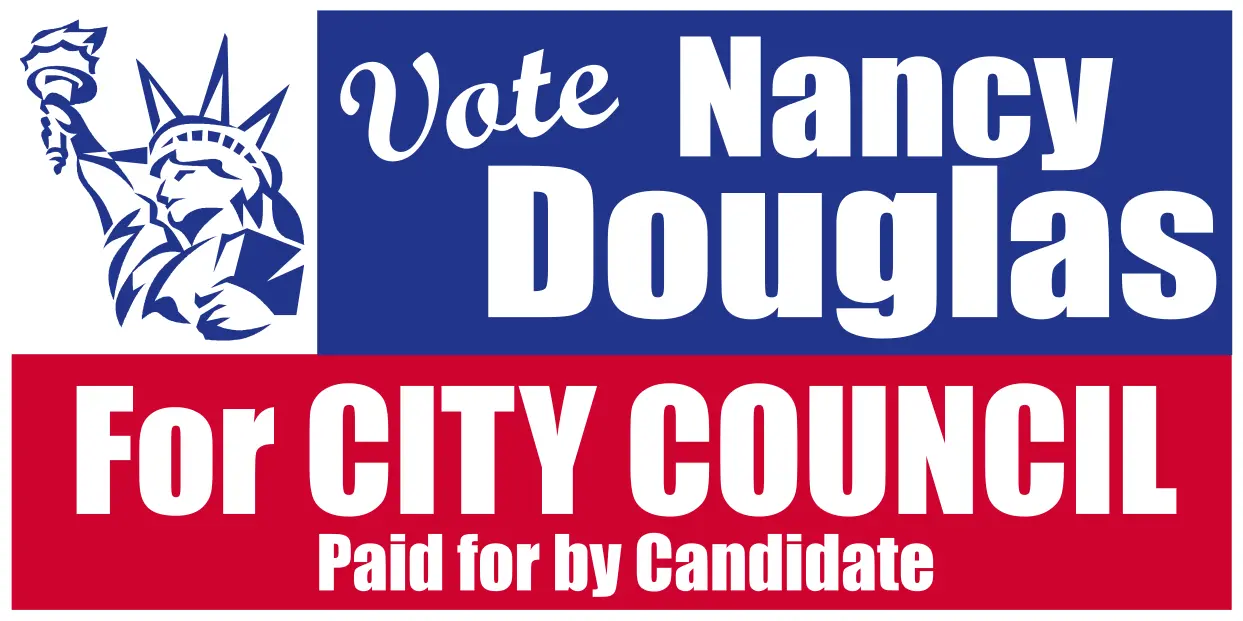 Big Campaign Council