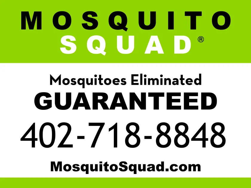 Mosquito Squad Elimination Mosquito Squad Elimination