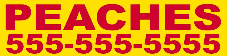 Re: BIZ SR 2 Re: BIZ SR 2